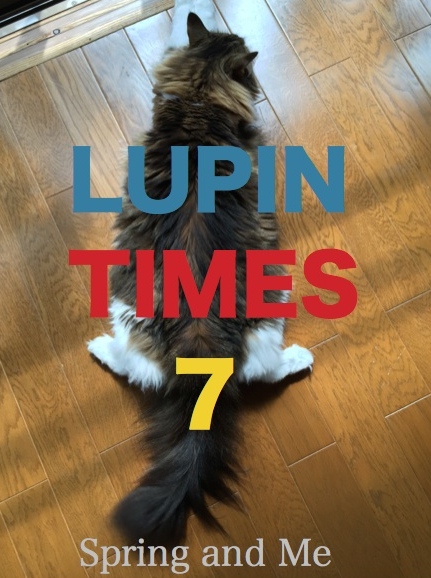 LUPIN TIMES 7